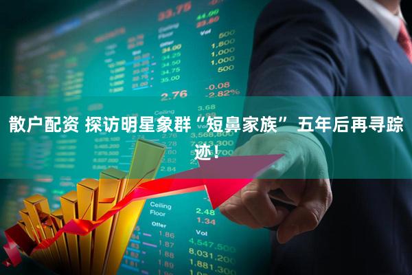 散户配资 探访明星象群“短鼻家族” 五年后再寻踪迹！
