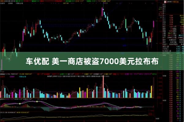 车优配 美一商店被盗7000美元拉布布