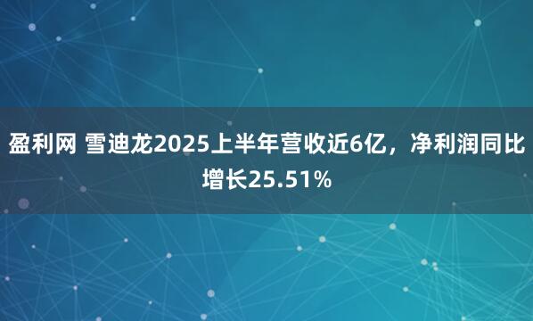 盈利网 雪迪龙2025上半年营收近6亿，净利润同比增长25.51%