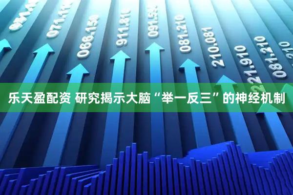 乐天盈配资 研究揭示大脑“举一反三”的神经机制