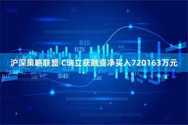 沪深策略联盟 C瑞立获融资净买入720163万元